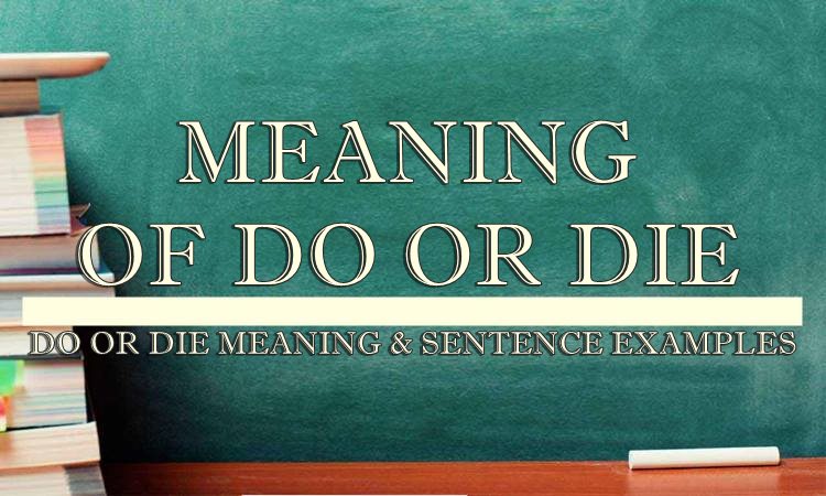 Do Or Die Meaning Sentence Examples