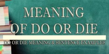 Do Or Die Meaning 2