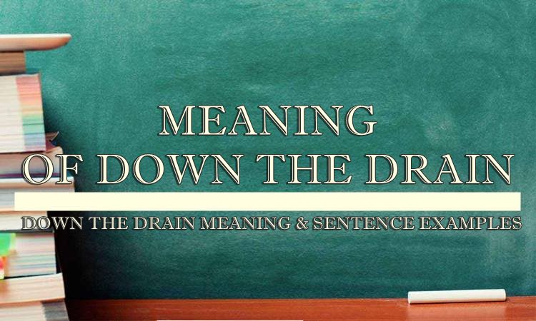 down-the-drain-meaning-sentence-examples