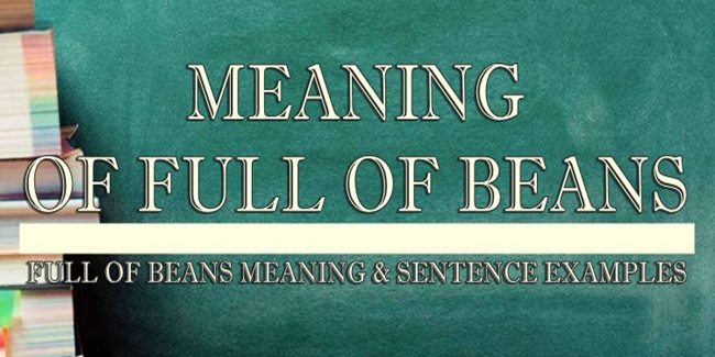 full of beans meaning and sentence
