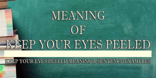 keep-your-eyes-peeled-meaning-sentence-examples