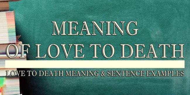 love-to-death-meaning-sentence-examples