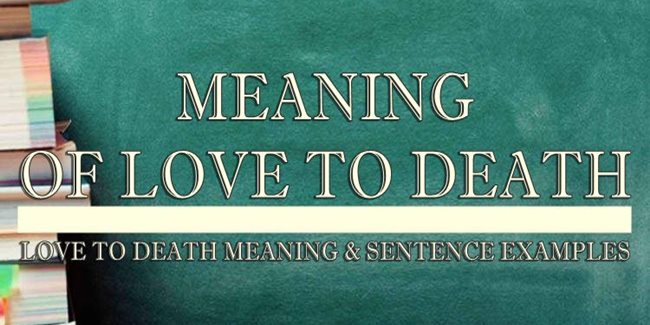 Love To Death Meaning Sentence Examples