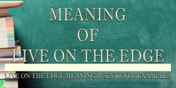 Live On The Edge Meaning 2