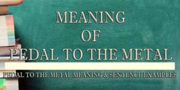 Pedal To The Metal Meaning 3