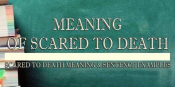 Scared To Death Meaning 2