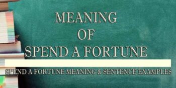 Spend A Fortune Meaning 2