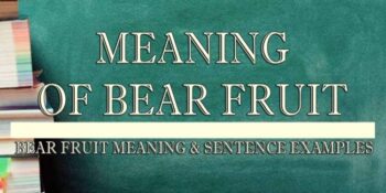 Bear Fruit Meaning 2