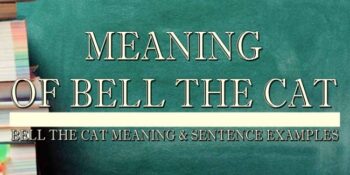 Bell the cat meaning
