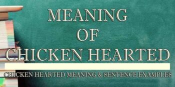 Chicken Hearted Meaning 2
