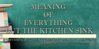 EVERYTHING BUT THE KITCHEN SINK MEANING 1