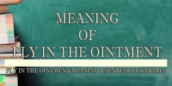 Fly In The Ointment Meaning 2