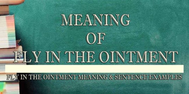 Fly In The Ointment Meaning Sentence Examples fly-in-the-ointment-meaning-sentence-examples