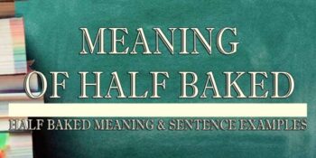 Half Baked Meaning 2