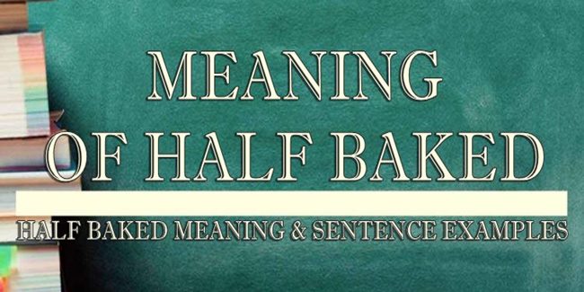 half-baked-meaning-sentence-examples