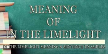 In The Lime Light Meaning 2