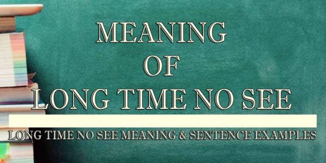 long-time-no-see-meaning-sentence-examples