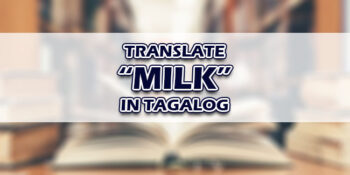 Milk In Tagalog