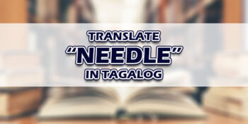 Needle In Tagalog