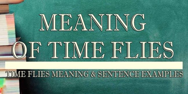 Time Flies Meaning & Sentence Examples