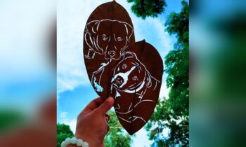 Marshall and Millions