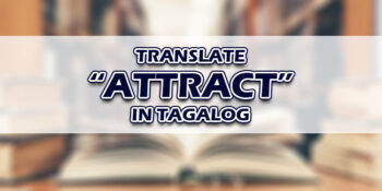 Attract In Tagalog