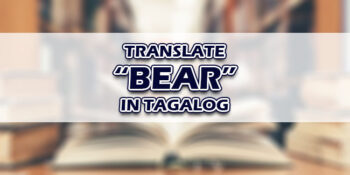Bear In Tagalog