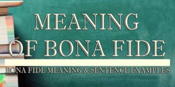 Bona Fide Meaning 2