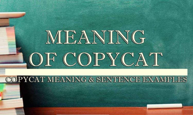 copycat-meaning-sentence-examples