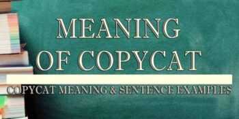 Copycat Meaning 2