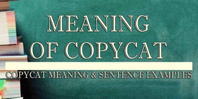 copycat-meaning-sentence-examples