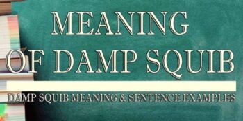 Damp Squib Meaning 2