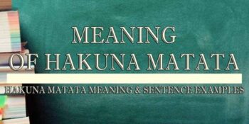 Hakuna Matata Meaning 2