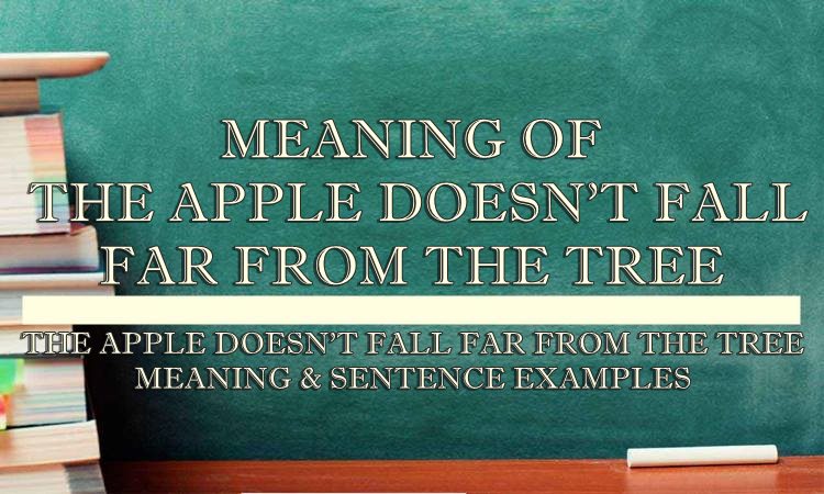 The Apple Doesnt Fall Far From The Tree Meaning Sentence Examples