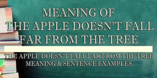 the-apple-doesn-t-fall-far-from-the-tree-meaning-sentence-examples