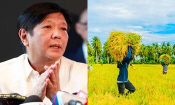 Bongbong Marcos as agriculture sec