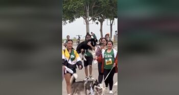 dog fun run