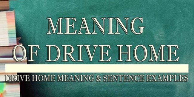 drive-home-meaning-sentence-examples