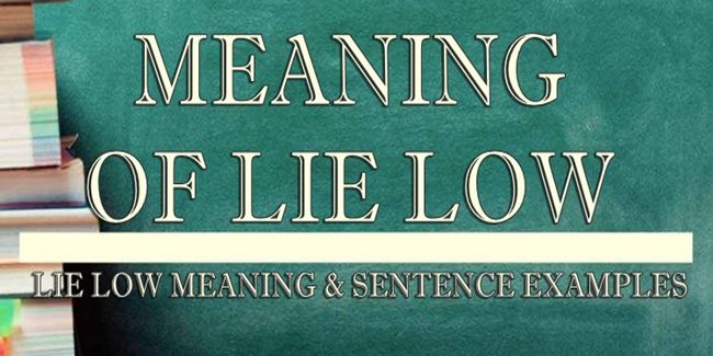 lie-low-meaning-sentence-examples