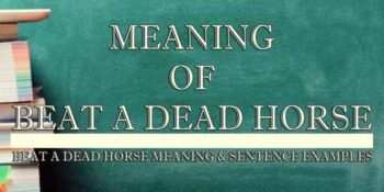 BEAT A DEAD HORSE MEANING 2