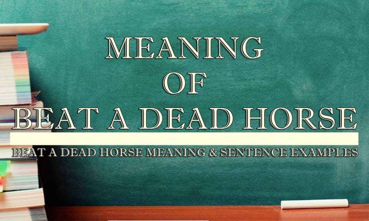 beat-a-dead-horse-meaning-sentence-examples