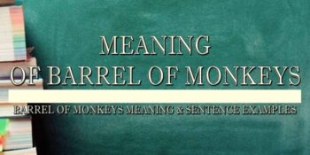 Barrel Of Monkeys Meaning 2
