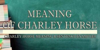 Charley Horse Meaning 2