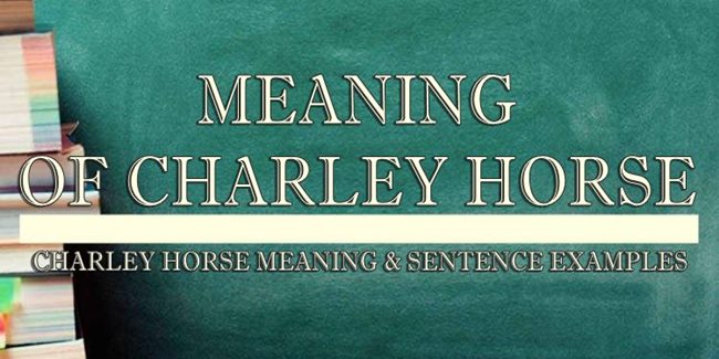 charley-horse-meaning-sentence-examples