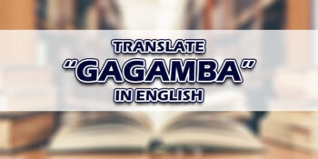 Gagamba In English
