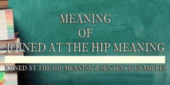 JOINED AT THE HIP MEANING 2