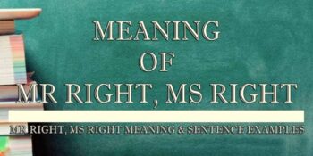 MR RIGHT, MS RIGHT 2