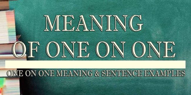 one-on-one-meaning-sentence-examples