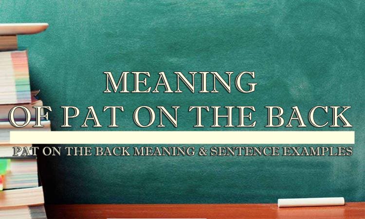 Pat On The Back Meaning Sentence Examples