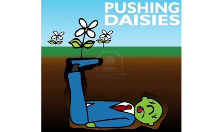 pushing-up-daisies-meaning-sentence-examples